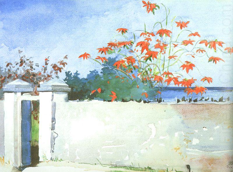 Winslow Homer A Wall, Nassau